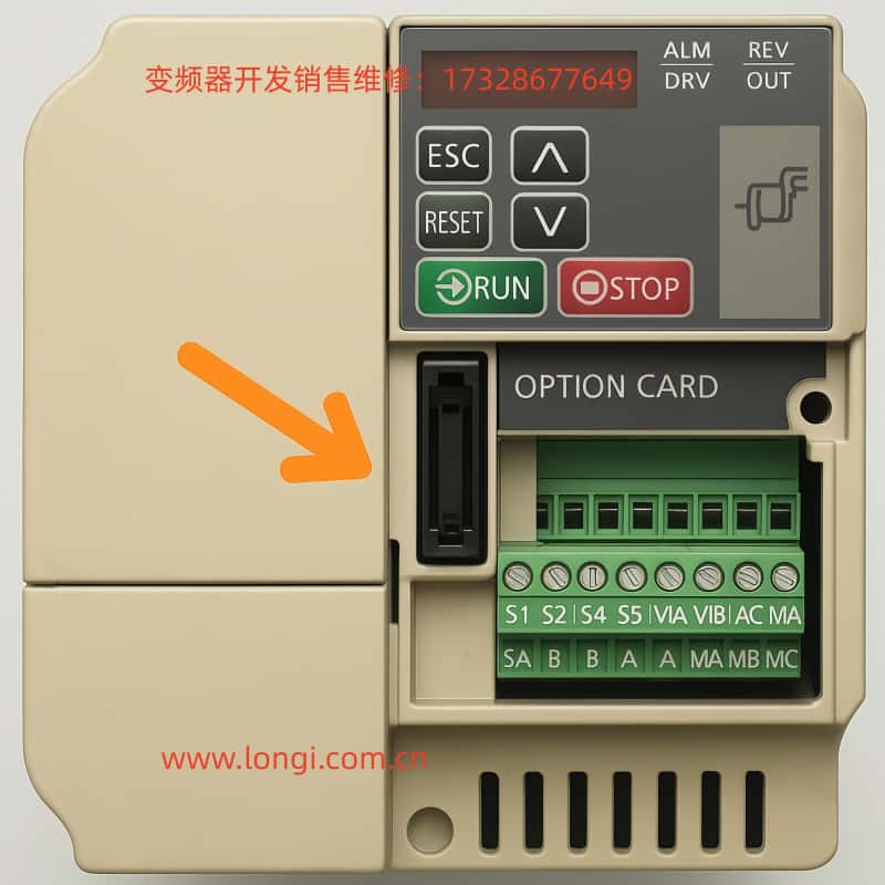 OPTION CARD.jpg